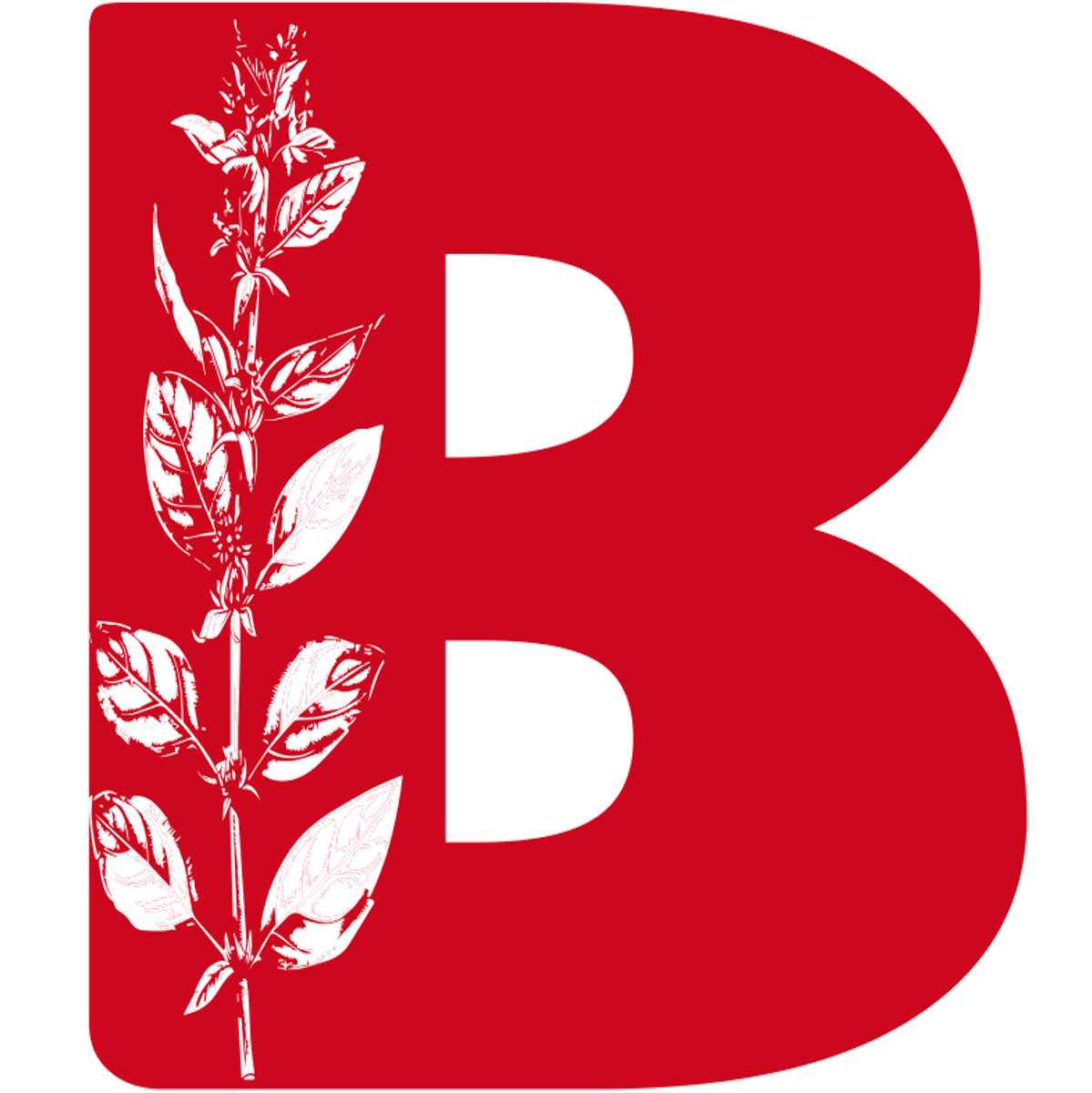 Bazari